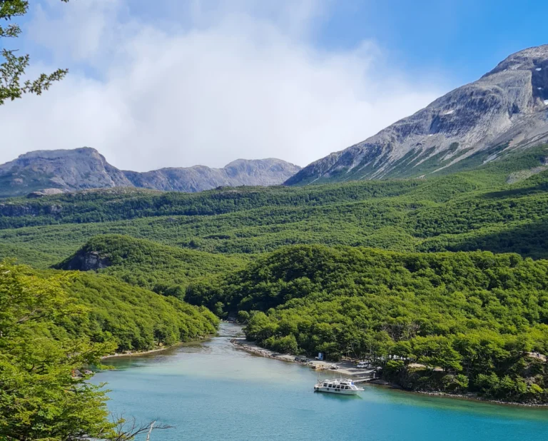 View of laguna del desierto