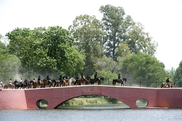 Fiesta Tradicion_Puente Viejo buenos aires to san antonio de areco