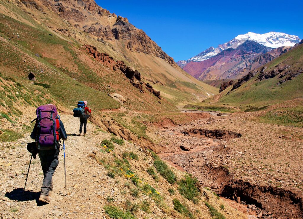 group tours available patagonia