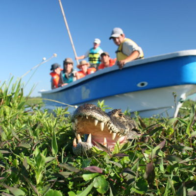 Ibera-Safari