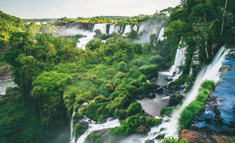 Treetops and Iguazú Falls waterfalls