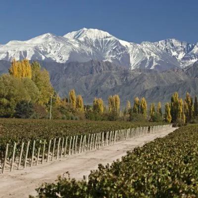 Mendoza, in the heart of wine country