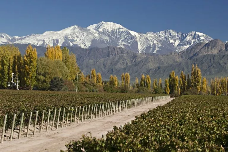 Mendoza, in the heart of wine country