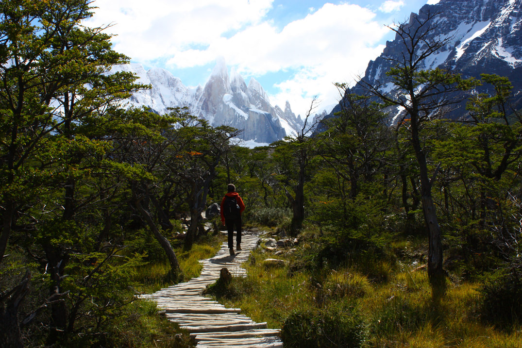 Trekking a Laguna Torre