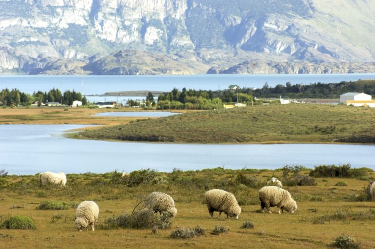 SONY DSC El Calafate - Nibepo ranch