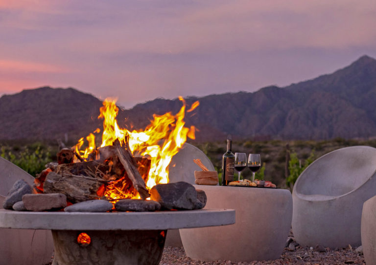 Wine tours in Chile and Argentina