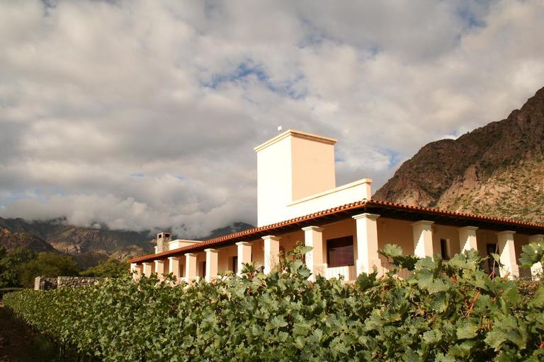 Cafayate Tour