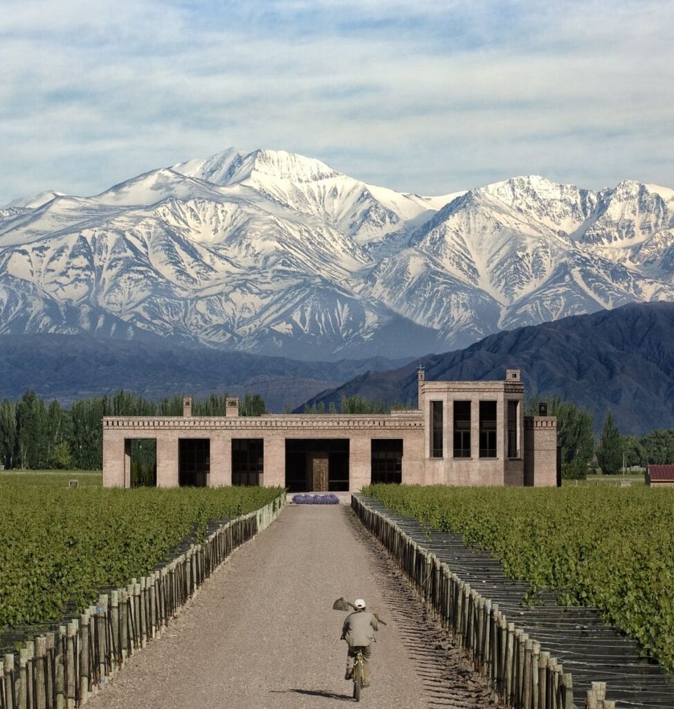 vineyard-in-mendoza Vineyard landscape in Lujan de Cuyo. Mendoza, Argentina