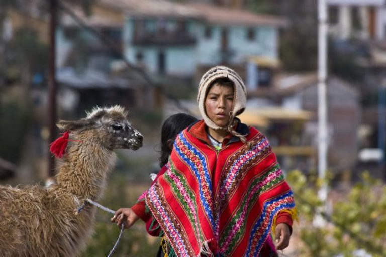 a child with a llama in Peru - Sacred Valley