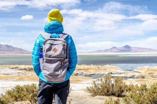 Visit to San Pedro de Atacama, person admiring the desertic landscape.