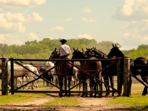 Estancia Day: Fiesta Gaucha
