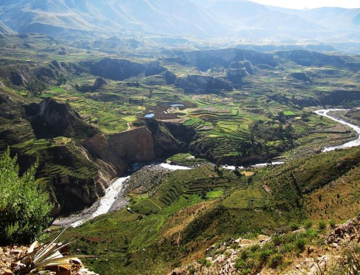 Cañón del Colca - Arequipa - Peru