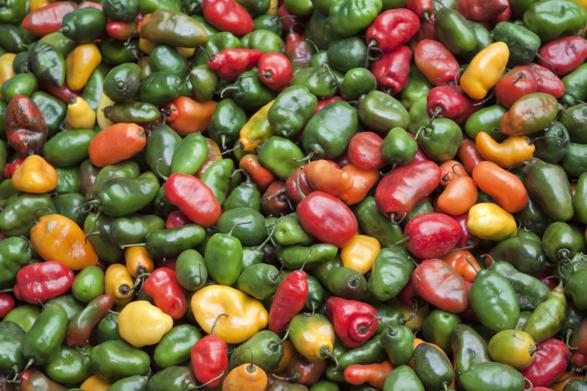 Local food - Peru