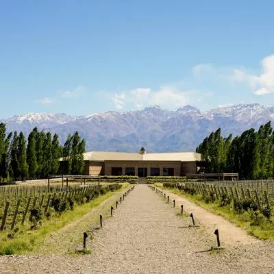 The Best Wine Tour Companies in Mendoza