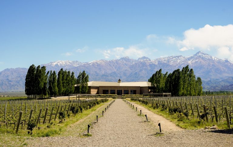 The Best Wine Tour Companies in Mendoza