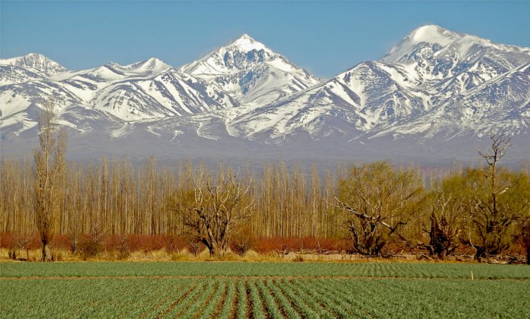 Mendoza - Wine tour