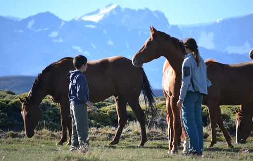 Patagonia - Family Trip