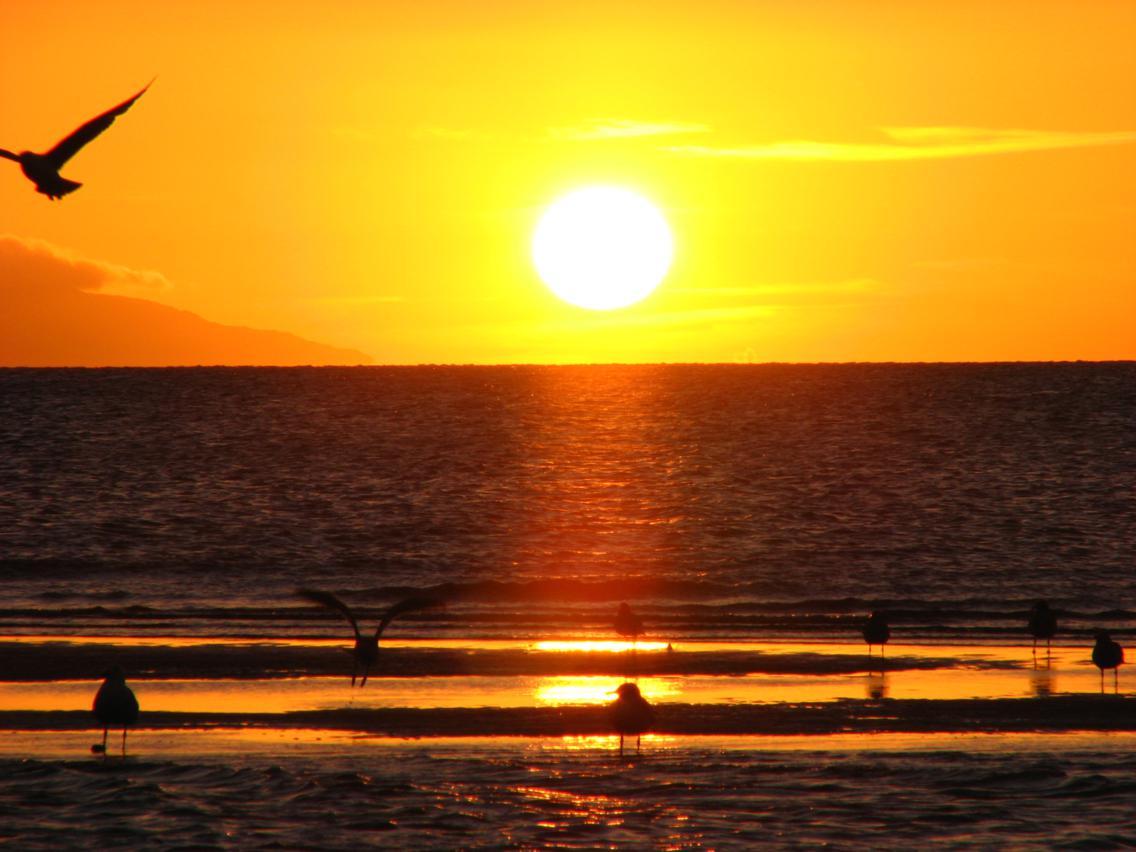 Punta Arenas - Landscape