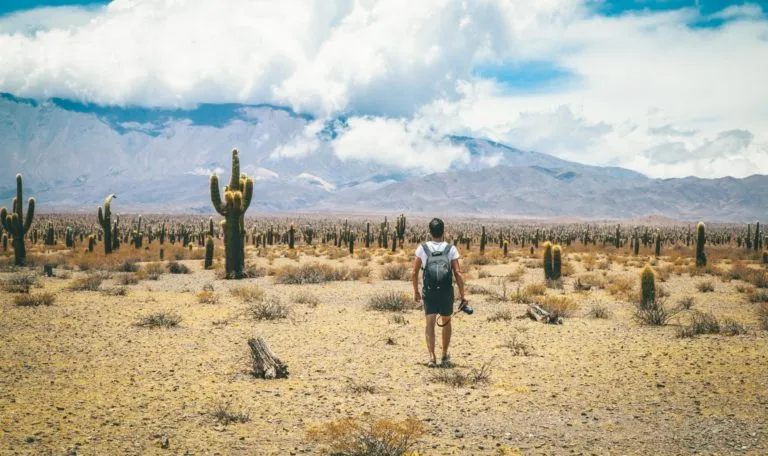 Salta - North of Argentina