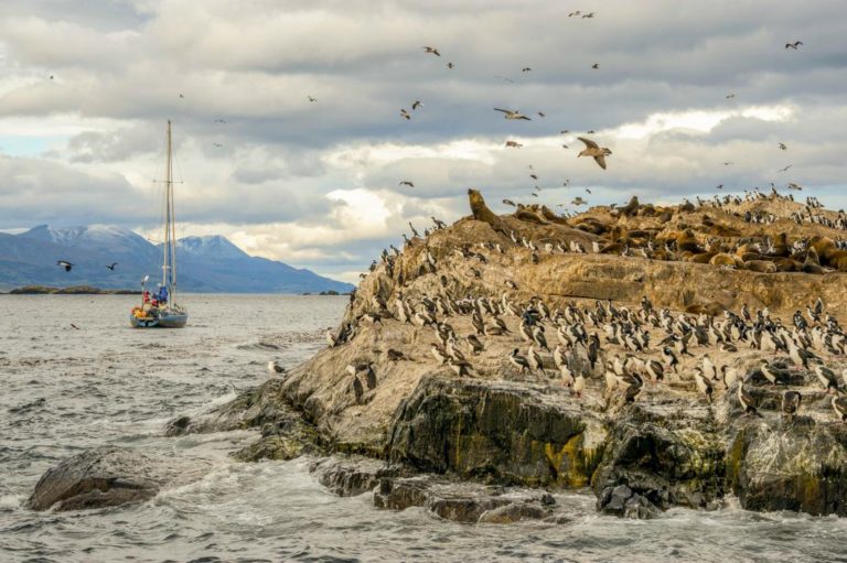 ushuaia-beagle-channel