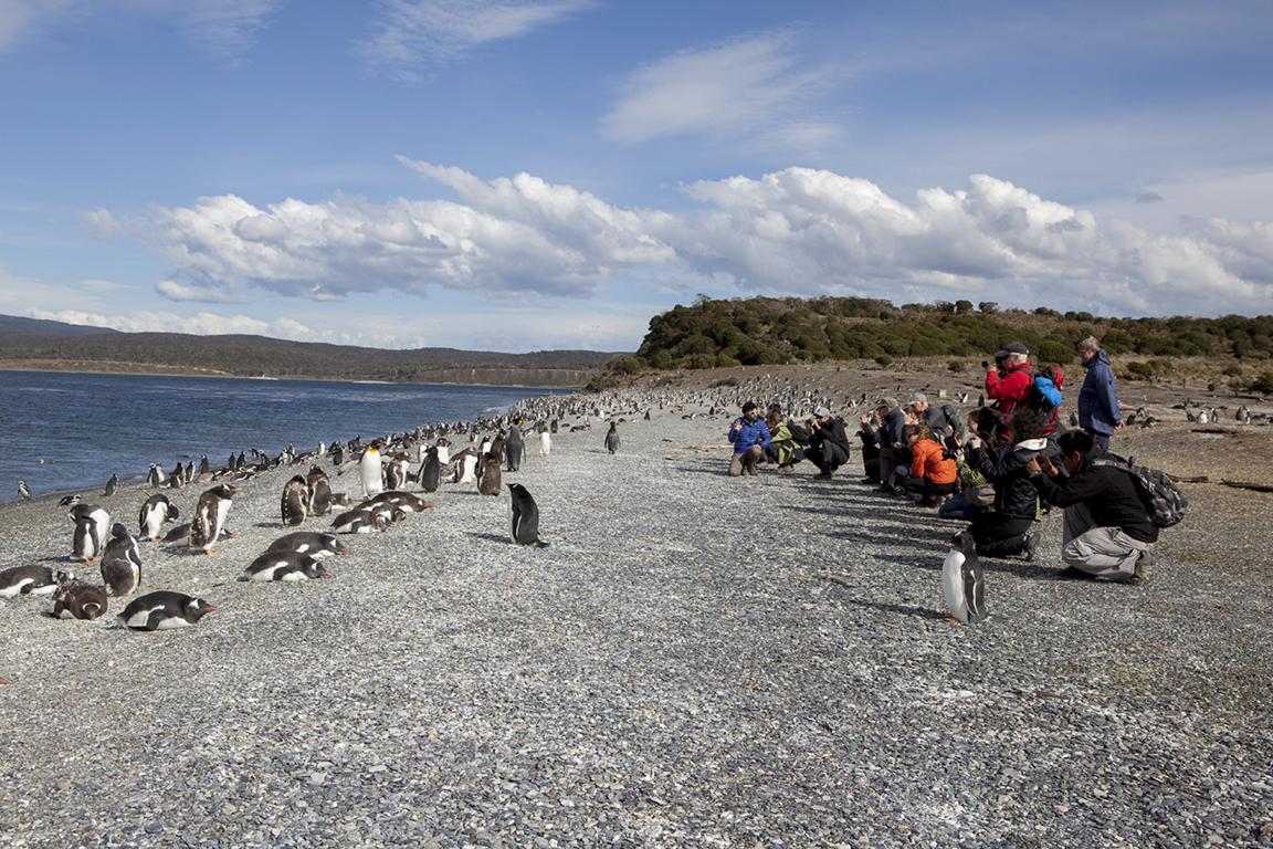 What is Patagonia Famous for?