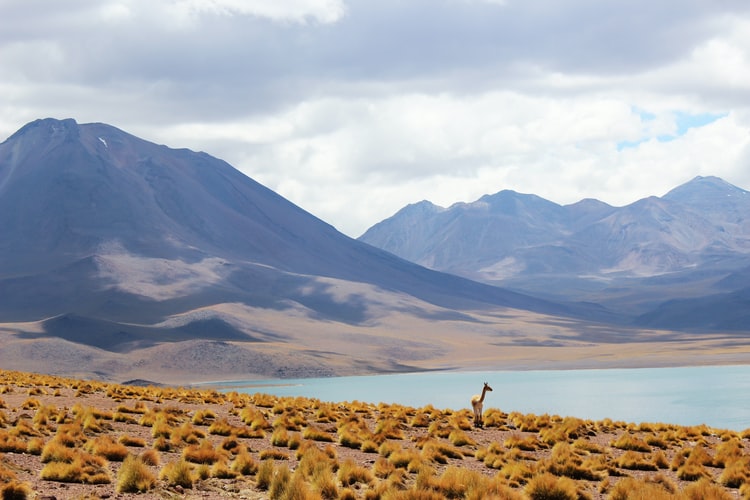 atacama-chile Atacama Desert - landscape