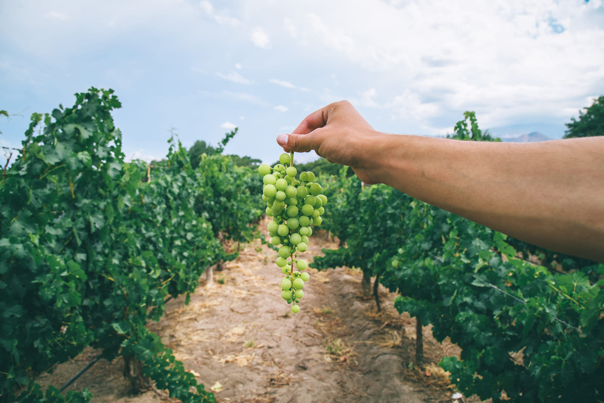 Argentinien als Top-Reiseziel für Weinliebhaber ausgezeichnet