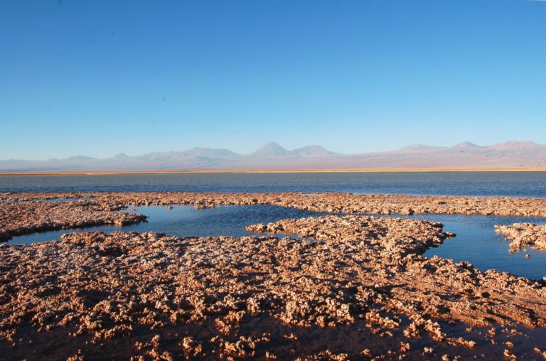 cejar-lagoon-atacama-desert-chile (3)