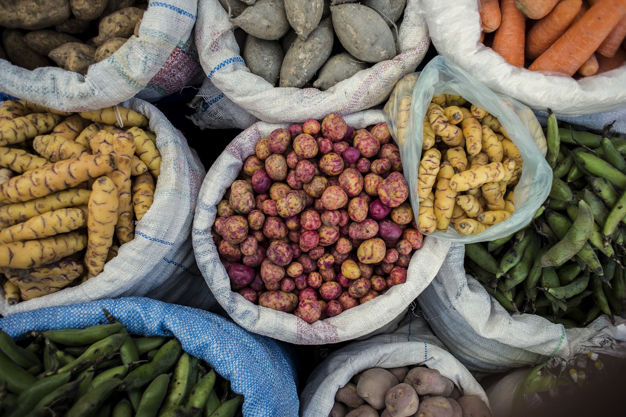 Paseo por los Mercados Culinarios de Santiago