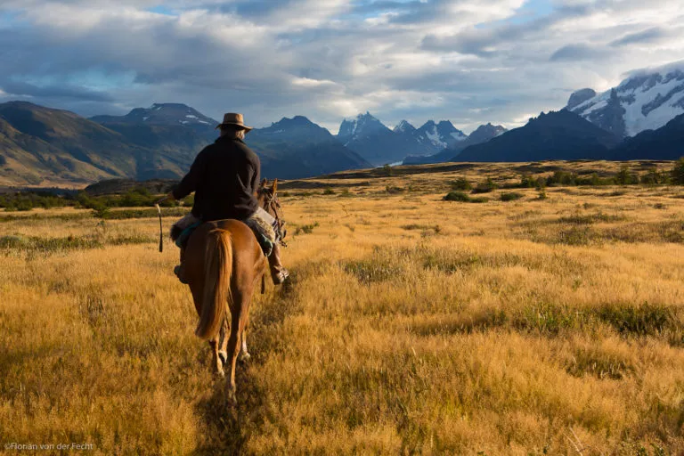Gaucho (cowboy) riding his horse in the Patagonia