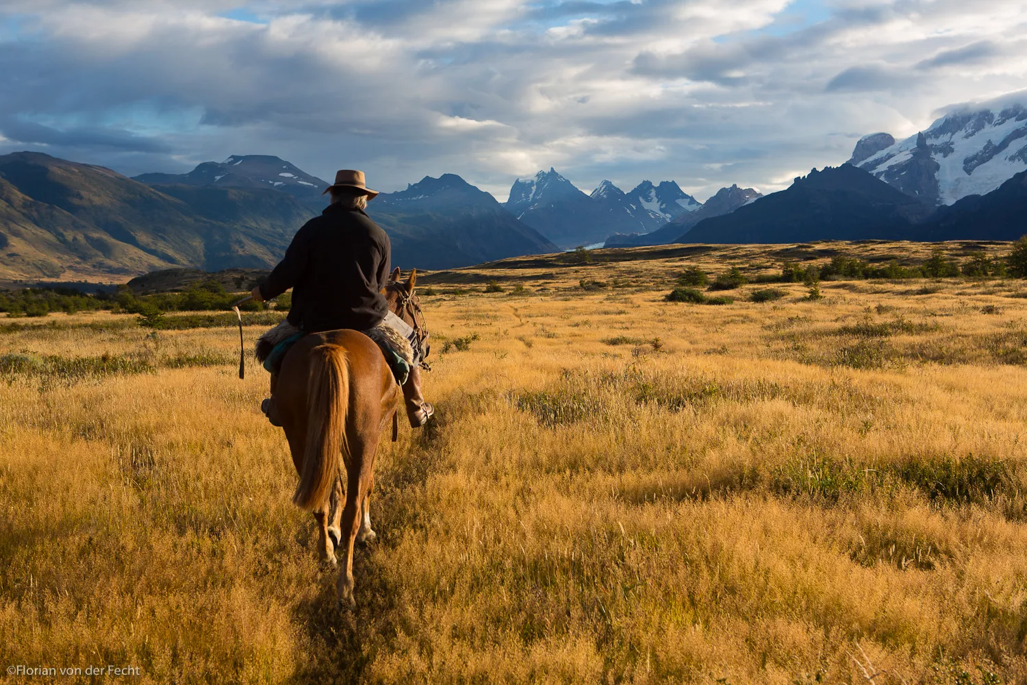 Gaucho (cowboy) riding his horse in the Patagonia