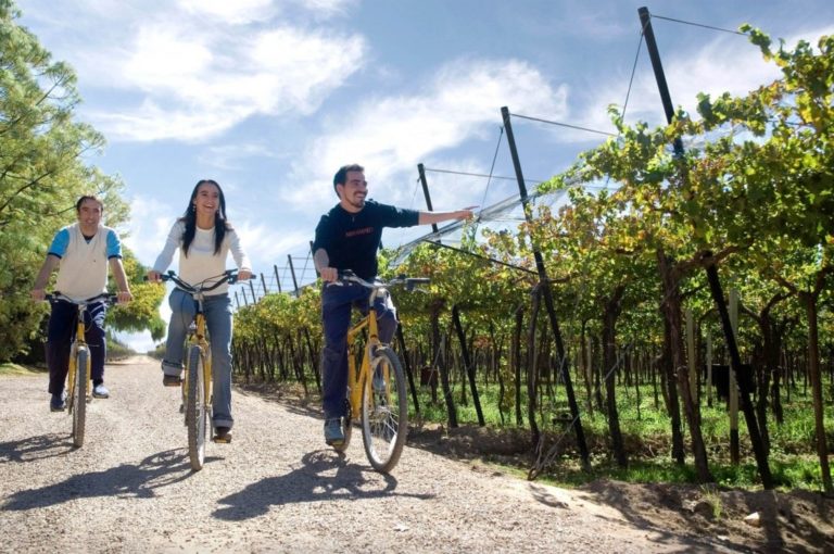 mendoza-bike-wine-tour