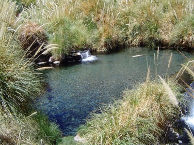 Termas de Puritama