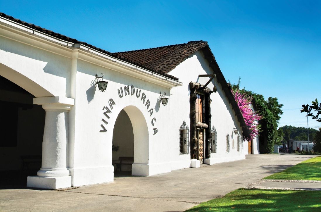 Visita a Viña Undurraga