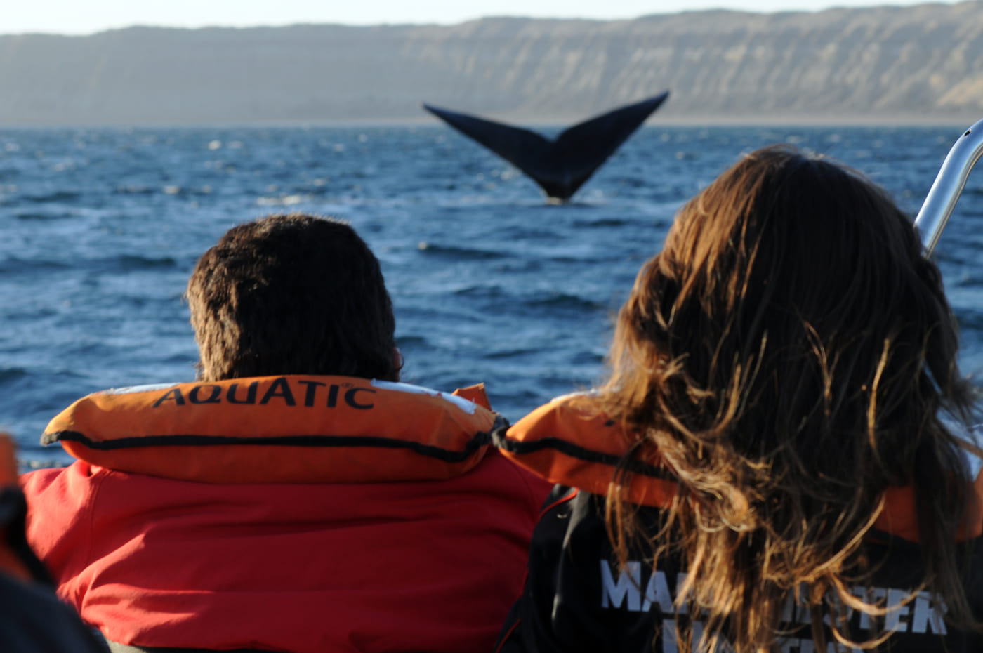 Peninsula Valdes Whale Watching