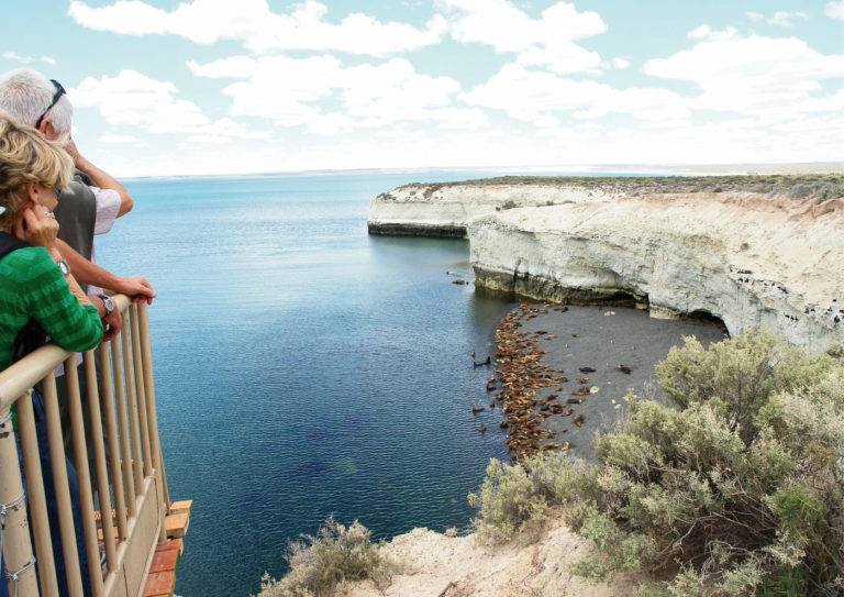 people-watching-sea-lions-colony people-watching-sea-lions-colony