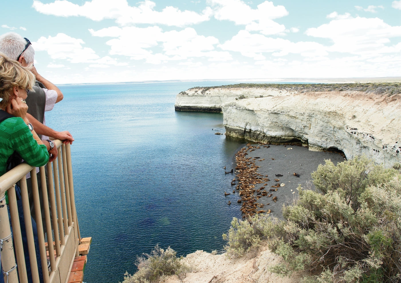 people-watching-sea-lions-colony