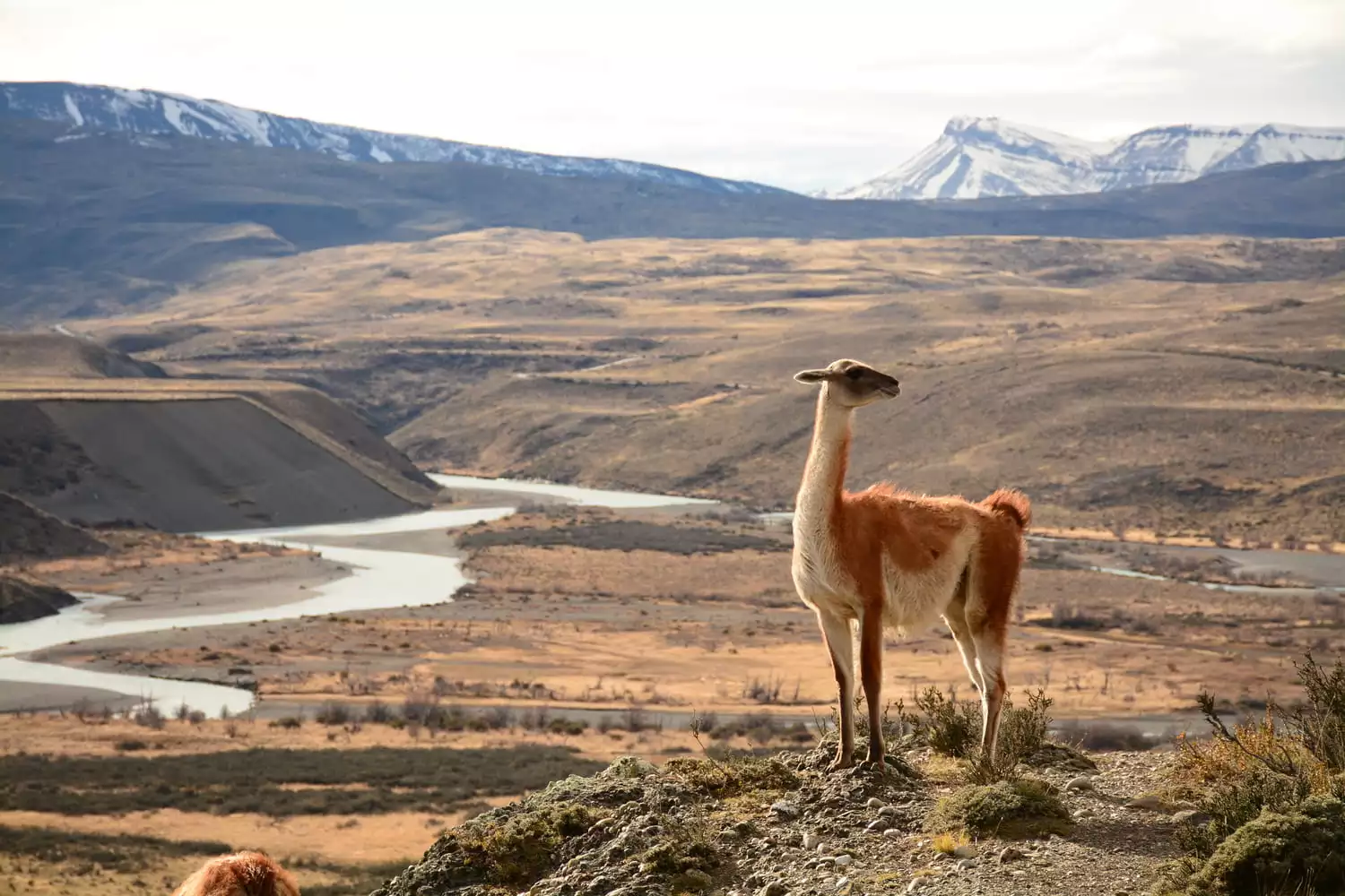 private-trek-to-sarmiento-lake-amarga-lagoon (5)