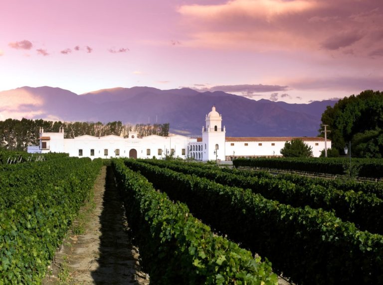 taste traditional Torrontes wine in Northern Argentina