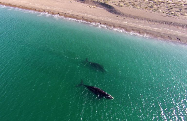 Puerto Madryn