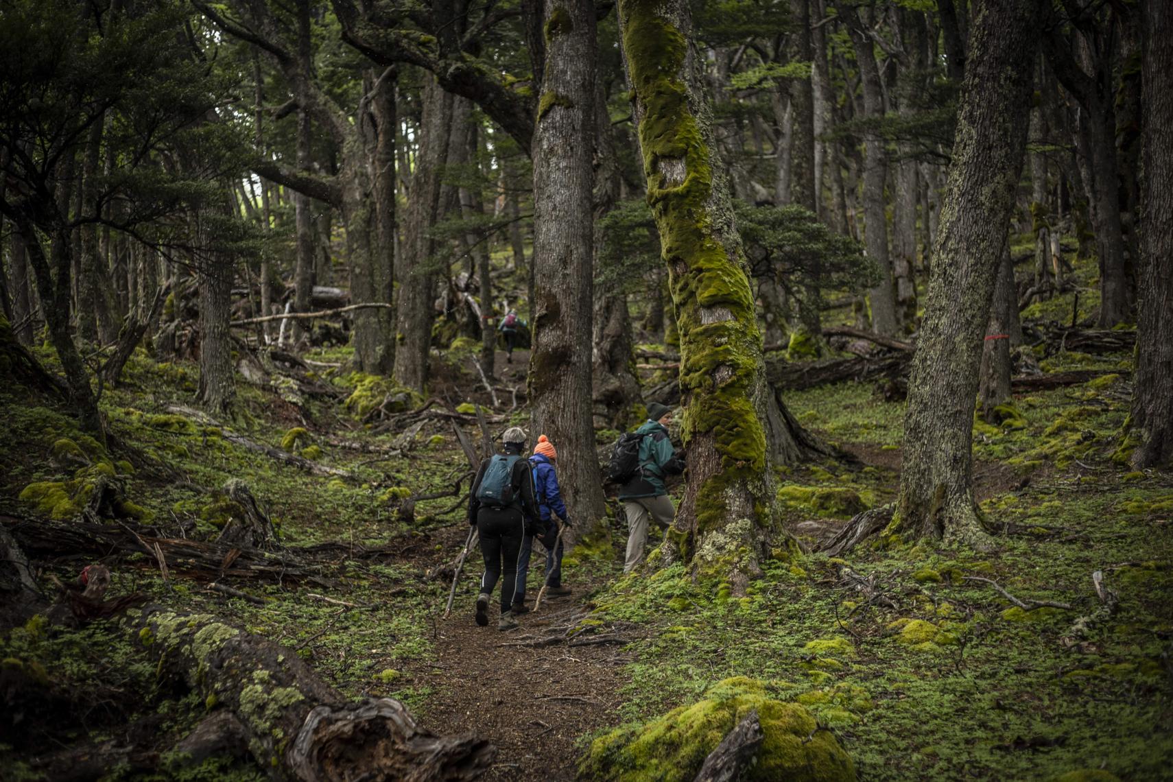 Torres del Paine W Trek: Real Preparation Guide for Experienced Hikers