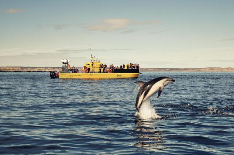 The Best Luxury Travel Experiences for Nature Lovers