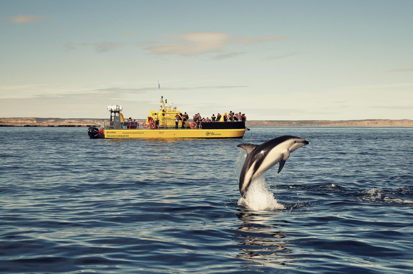 The Best Luxury Travel Experiences for Nature Lovers