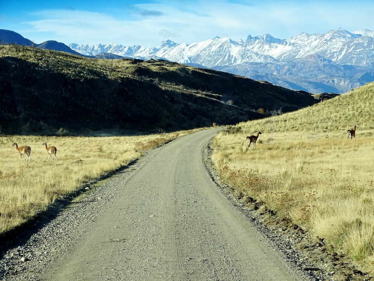 What are the requirements to rent a car in Chile? Say Hueque