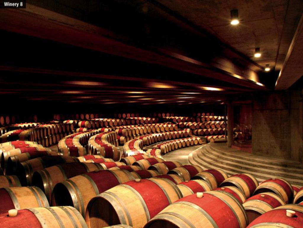 Wine tour in Chile