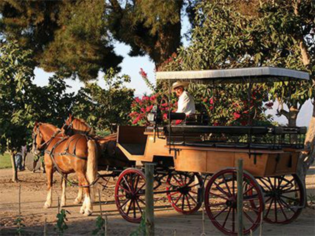 Bodegas Valle Colchagua
