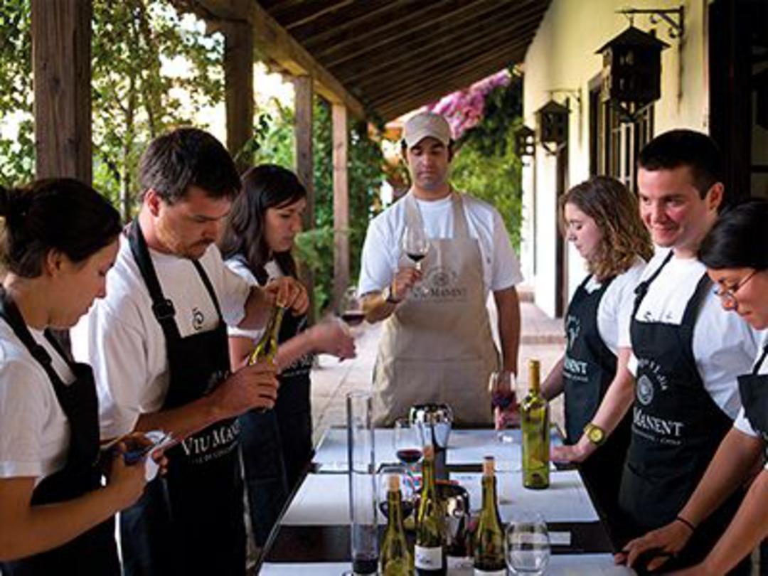 Bodegas Valle Colchagua
