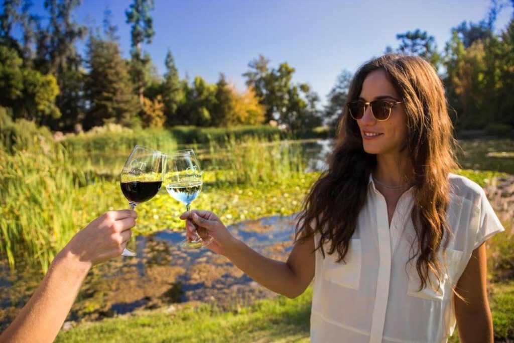 Wine tour in Chile
