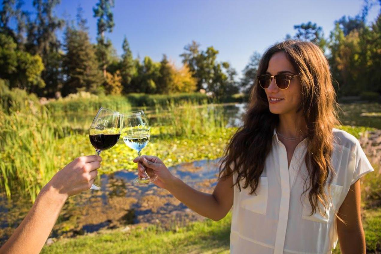 Wine tour in Chile
