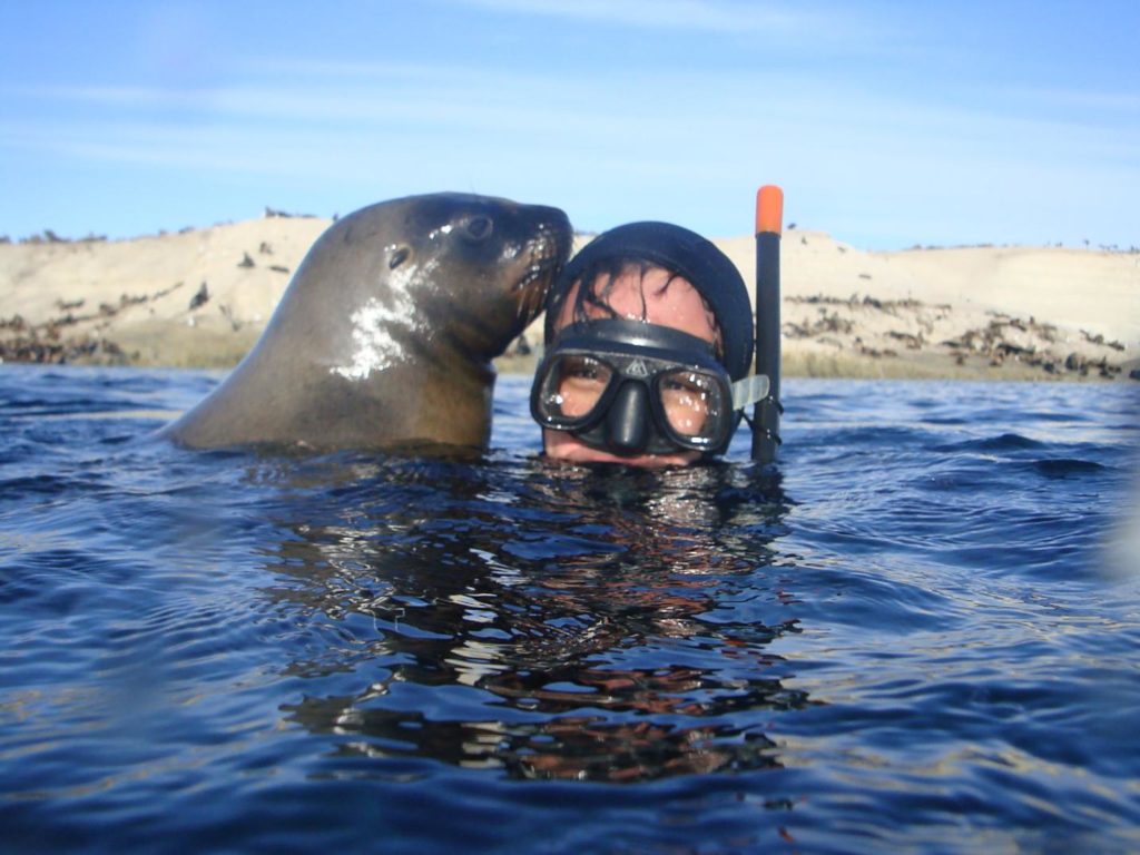 Snorkeling with sea lions in Puerto Madryn